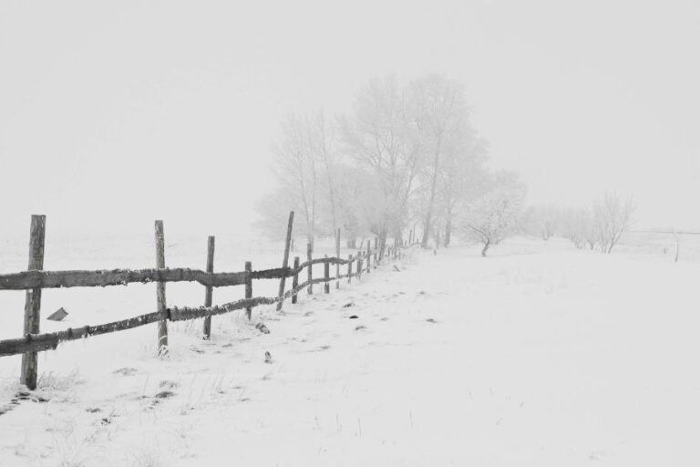 Snow-covered field with wooden fence and trees in winter fog, symbolizing challenges in snow day forecast accuracy.