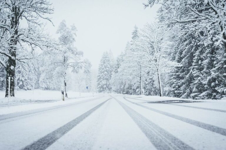 Snow-covered road with tire tracks through a winter forest, illustrating factors that influence snow day predictions.