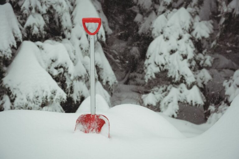 Red snow shovel standing in deep snow with trees in the background, symbolizing snow day predictions across U.S. states.