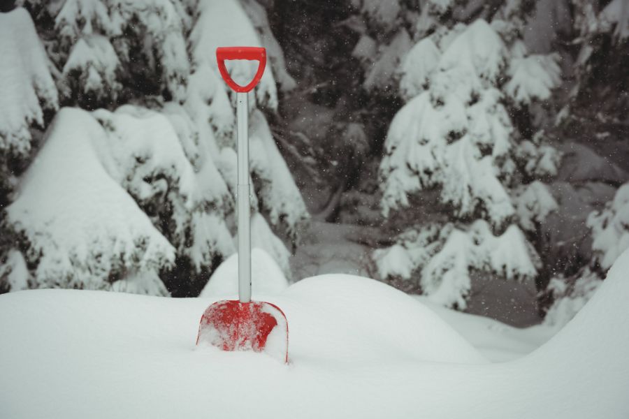 Red snow shovel standing in deep snow with trees in the background, symbolizing snow day predictions across U.S. states.